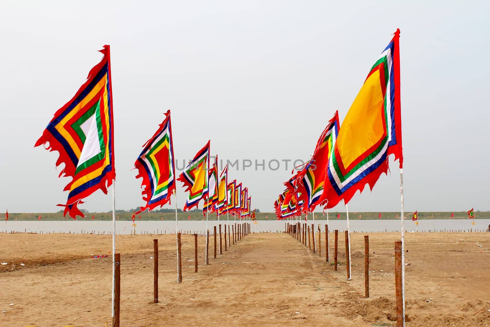 vietnamese traditional flag