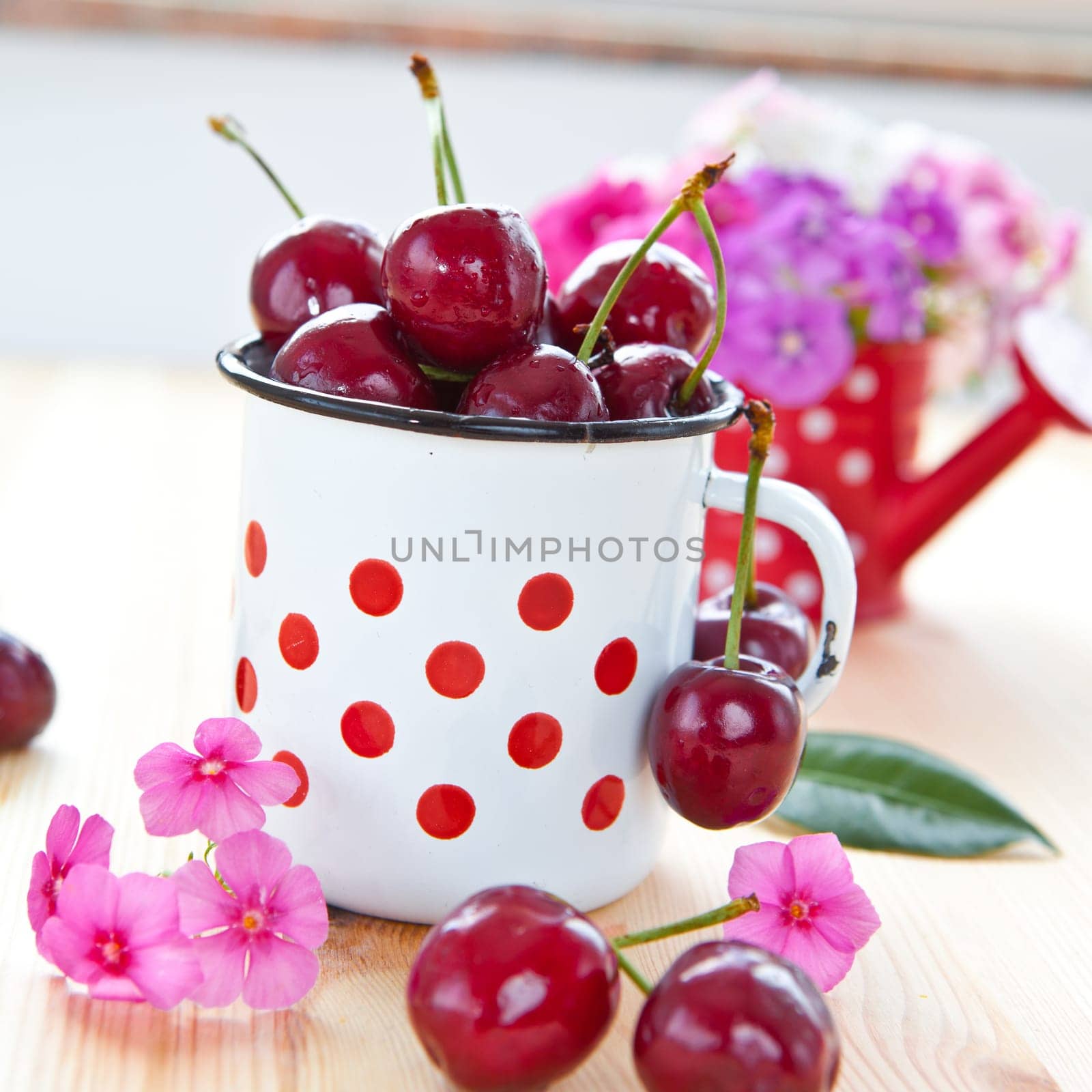 Fresh cherries in a small cup with red dots