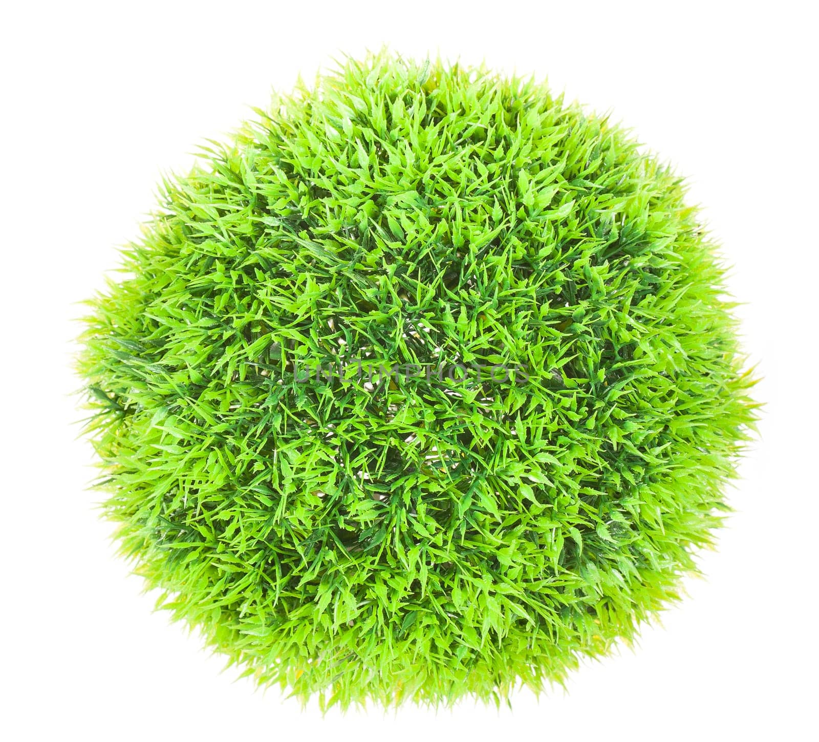 Photo of a Green ball grass isolated on white background