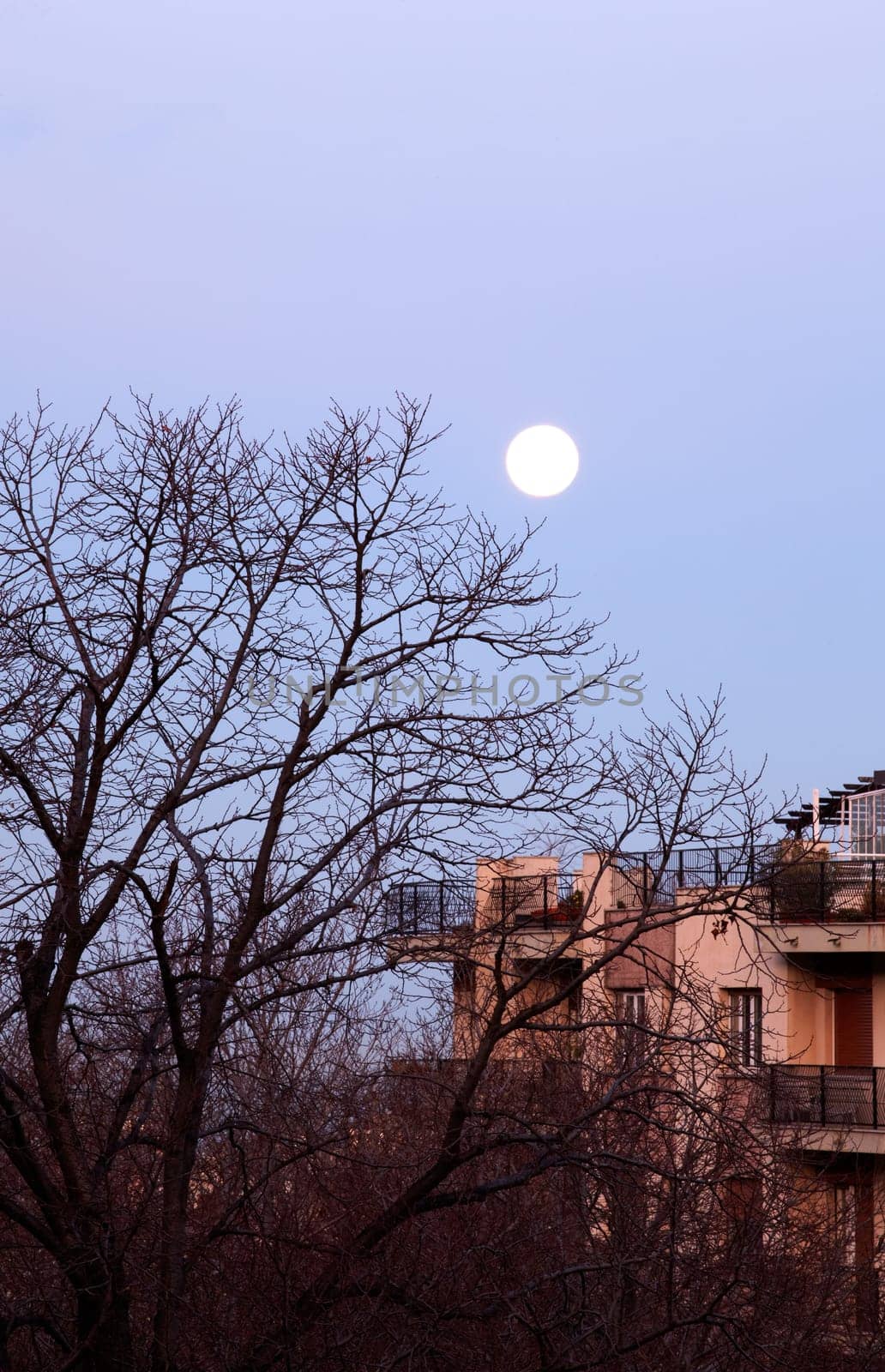 Photo of sky with moon on building and trees