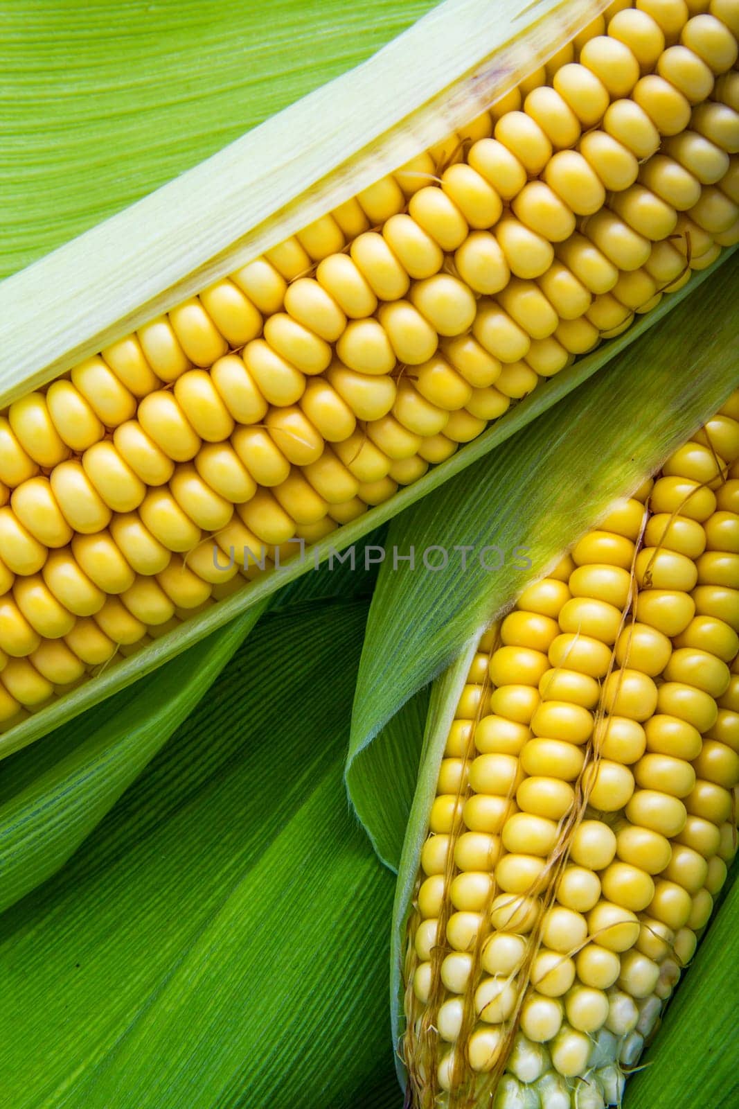 Corn and cob