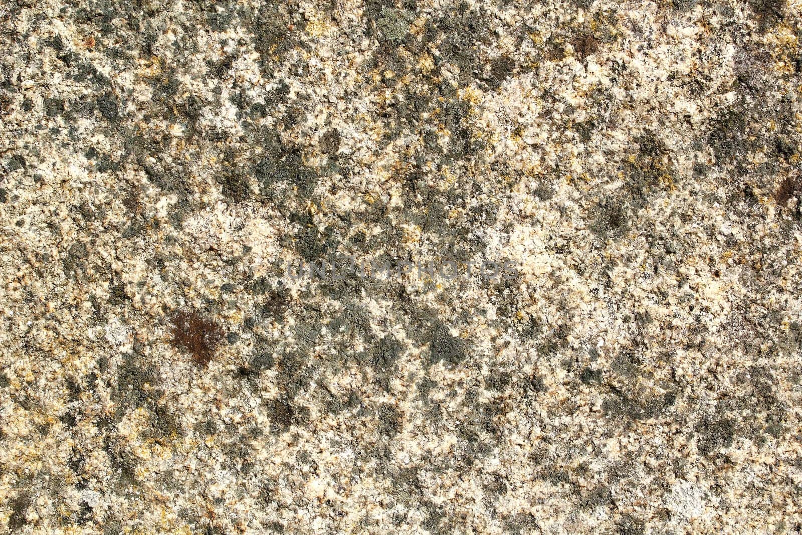 Stone texture