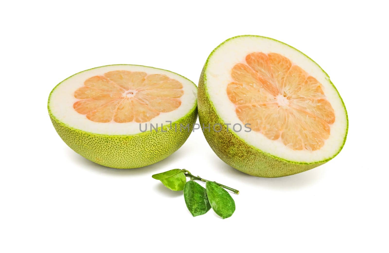 Pomelo or Chinese grapefruit