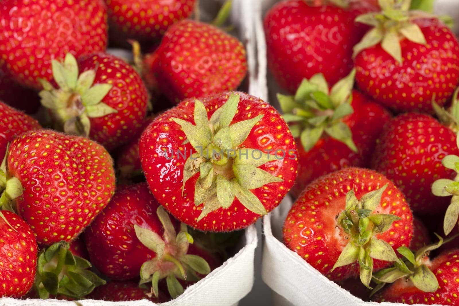 Strawberry season - Freshly picked strawberries in light cardboard boxes