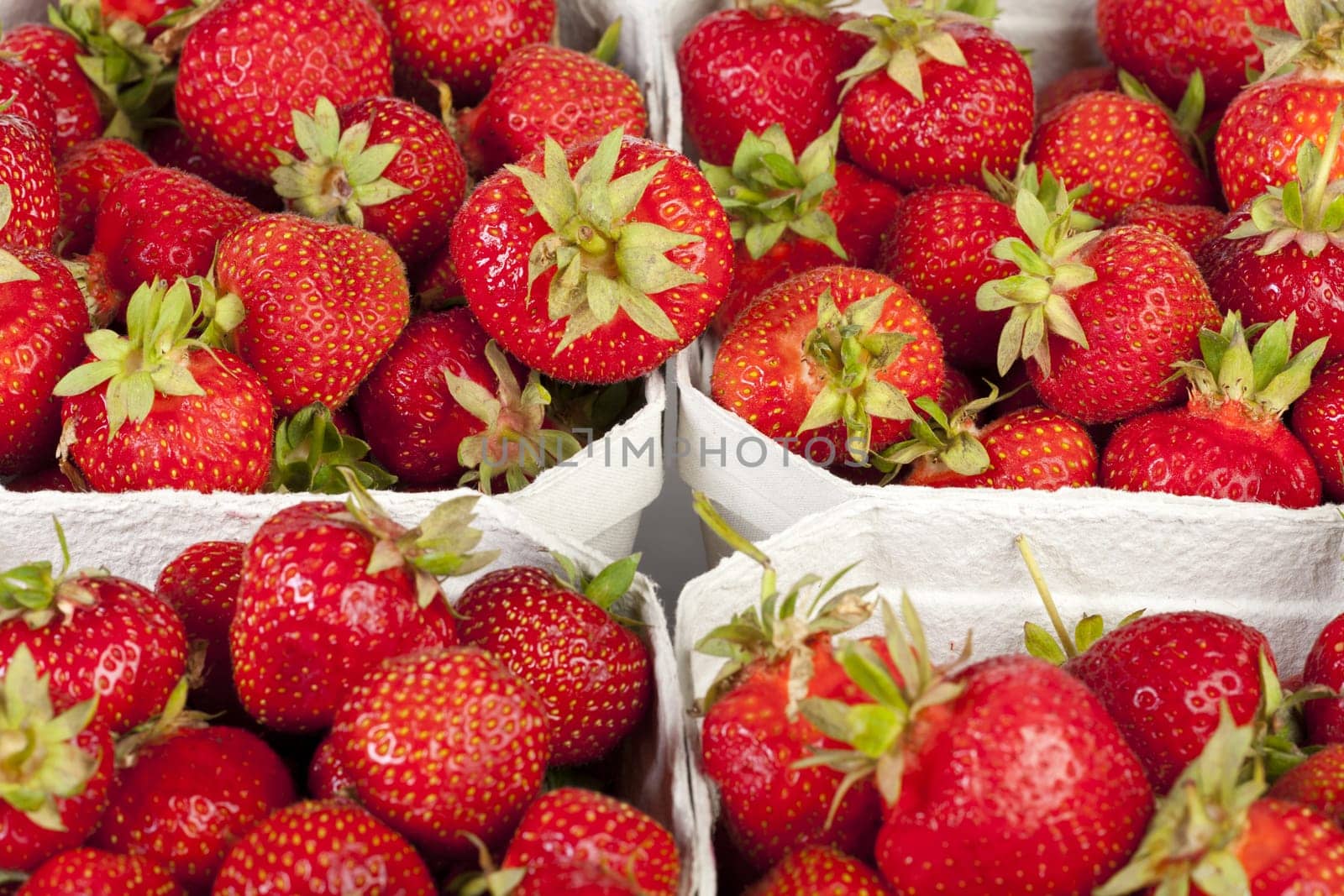 Strawberry season - Freshly picked strawberries in light cardboard boxes on a white background