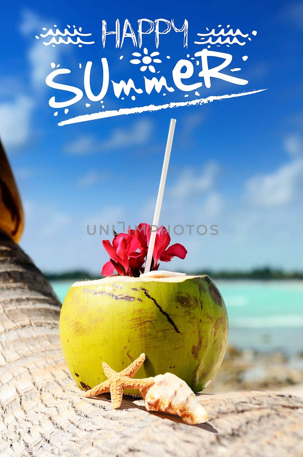 Coconut with drinking straw on a palm tree at the sea