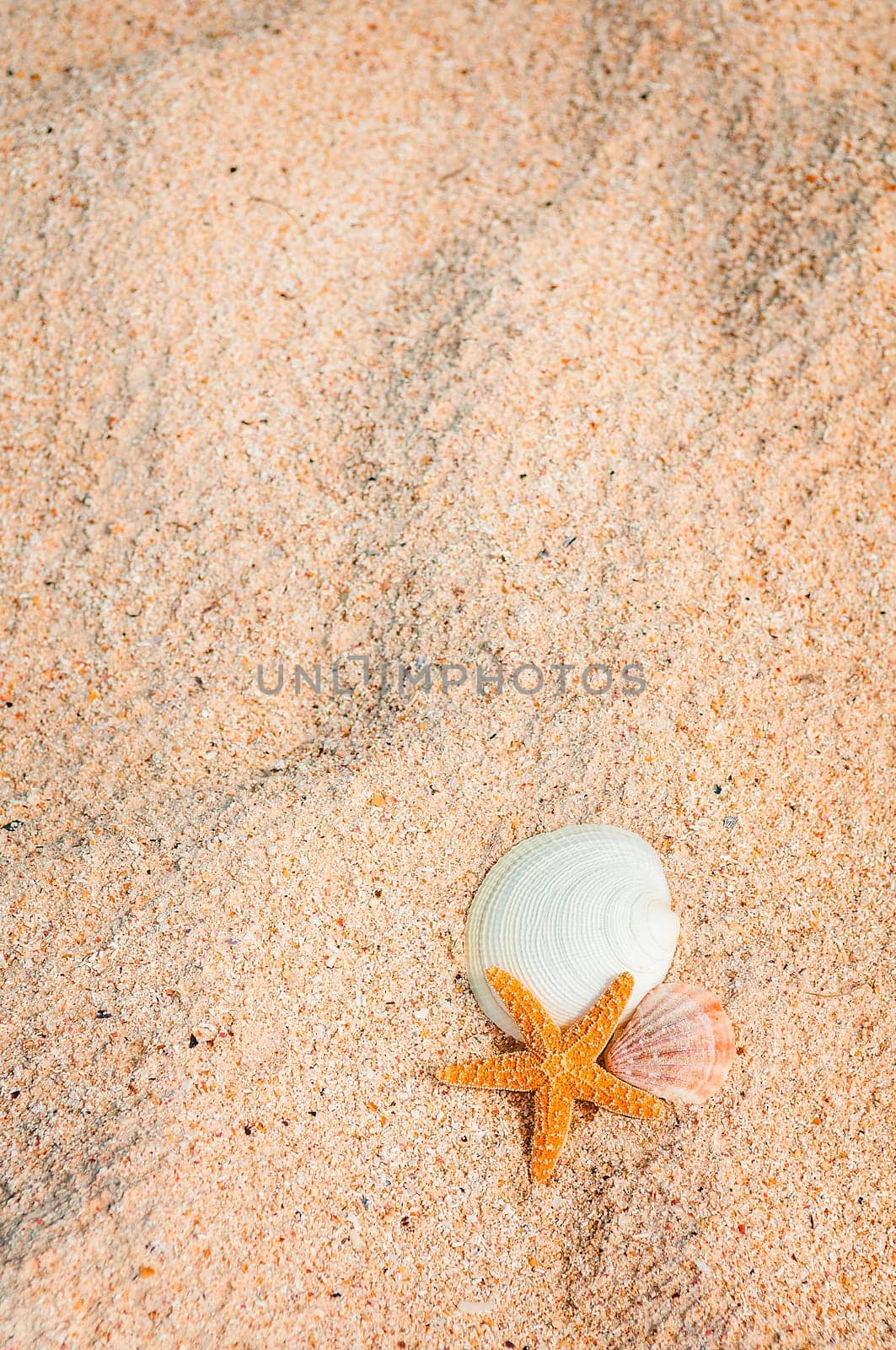 closeup of beach with starfish and shells like summer vacation background