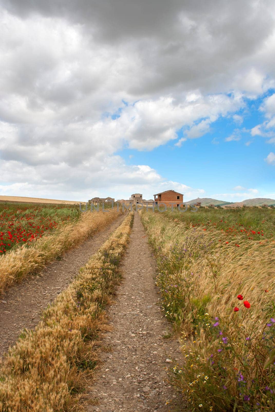 meadows in the hills of Salerno in Italy