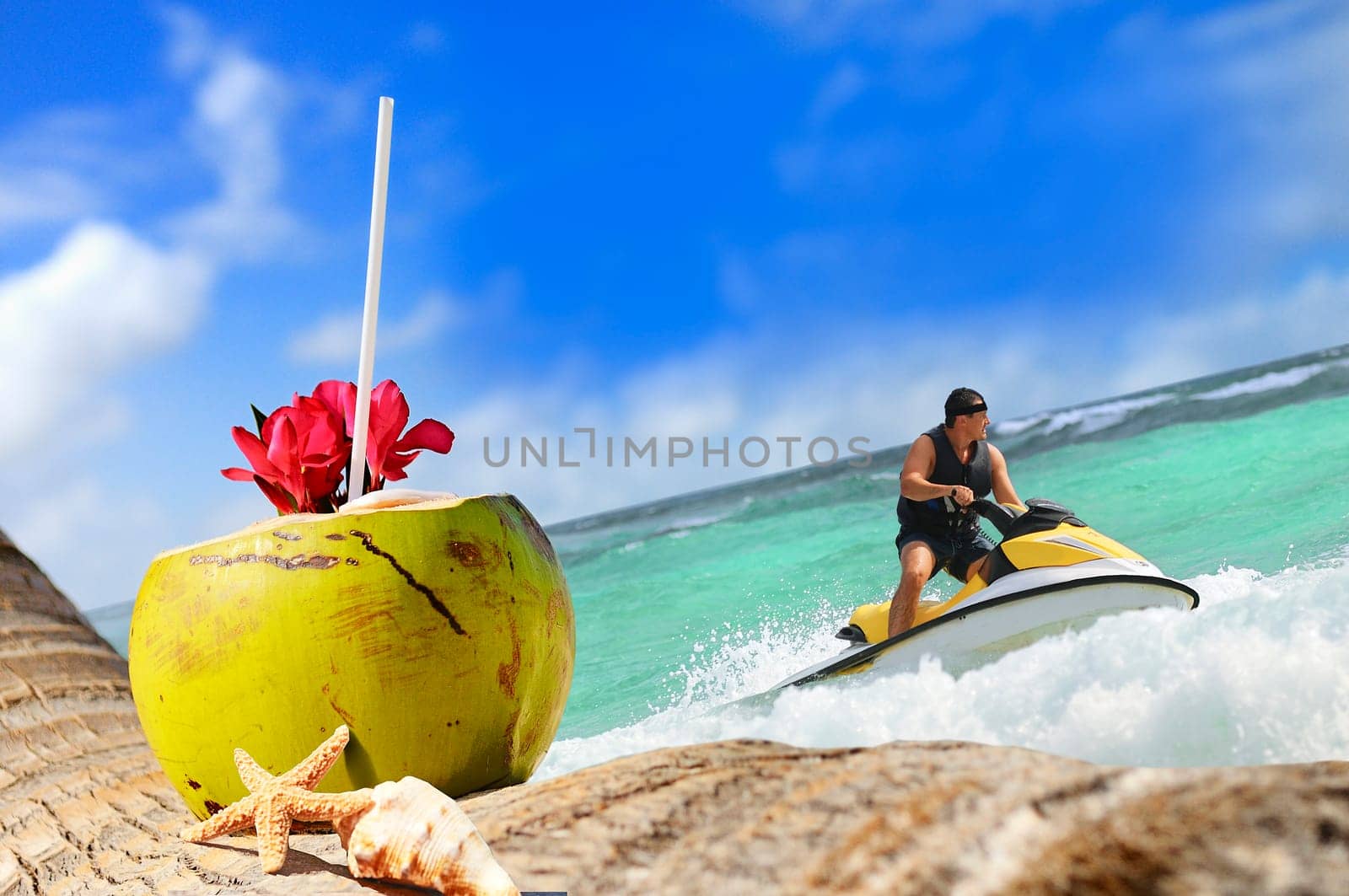 Coconut with drinking straw on a palm tree at the sea
