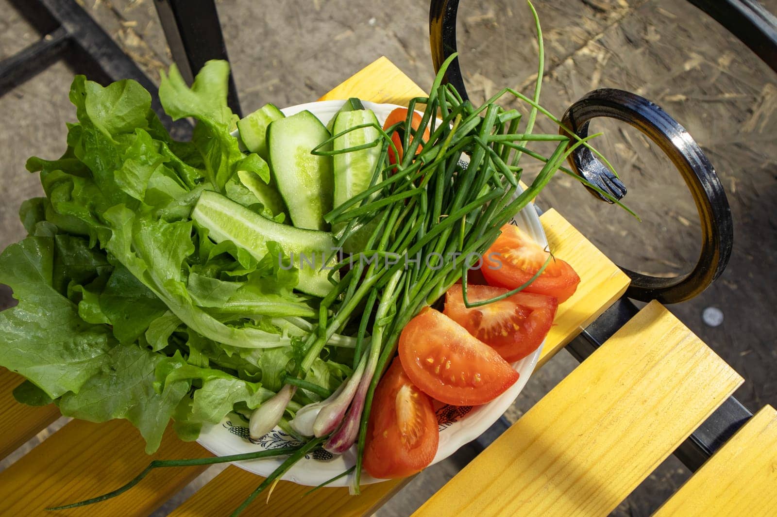 Fresh vegetables - lettuce, spring onions, tomatoes and cucumbers on a white plate on a wooden vintage bench in the garden background. The concept of growing organic vegetables.