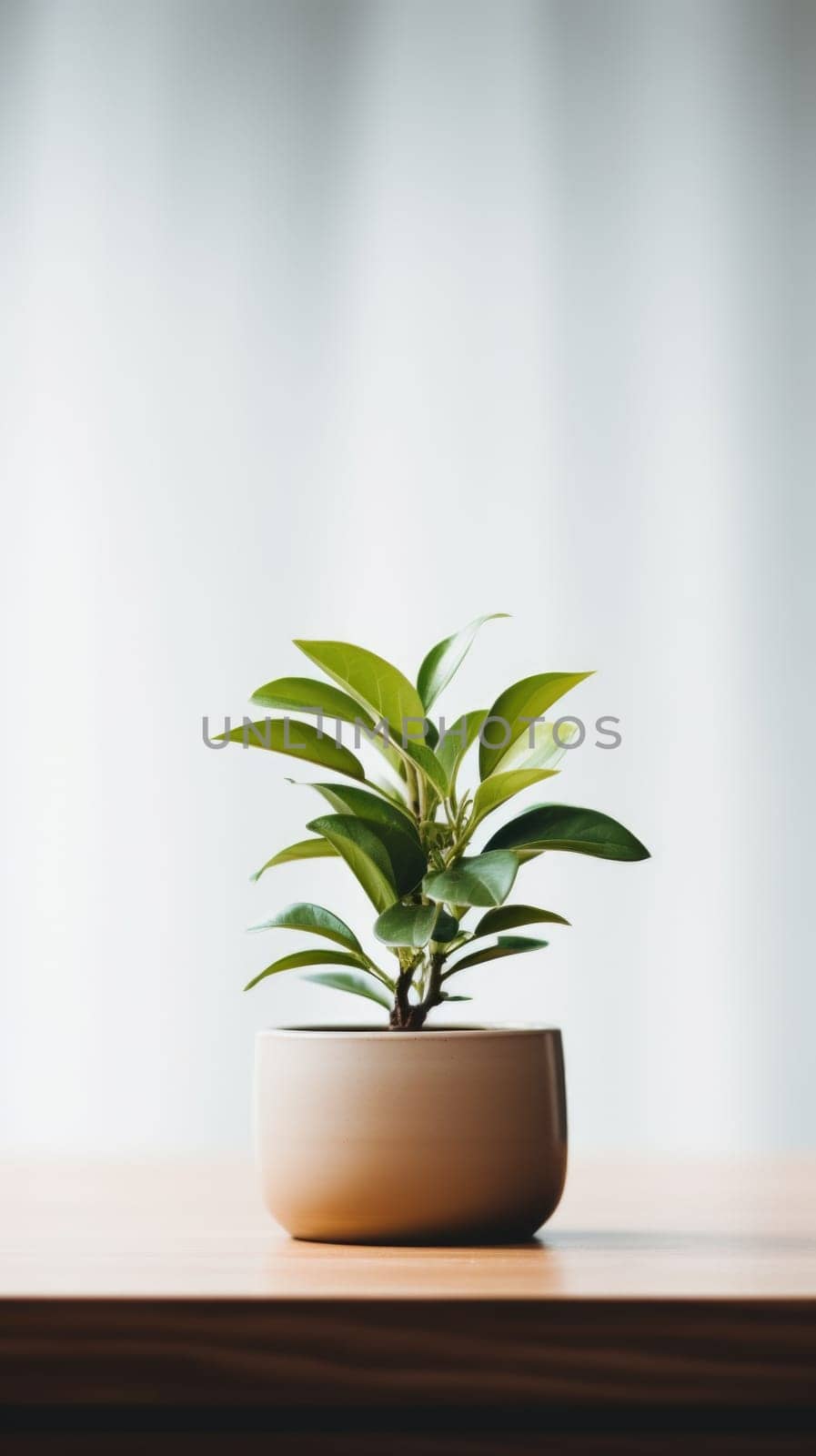 A small plant in a ceramic pot on a table, AI by starush