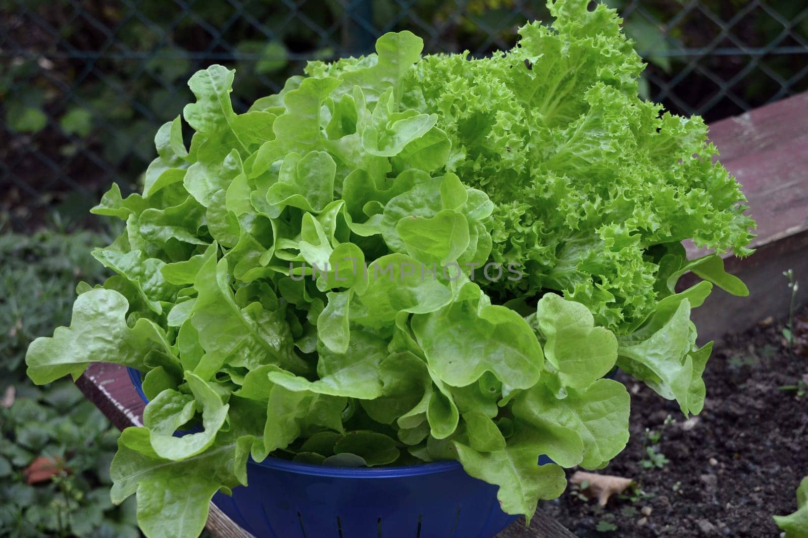 It doesn't get fresher than this