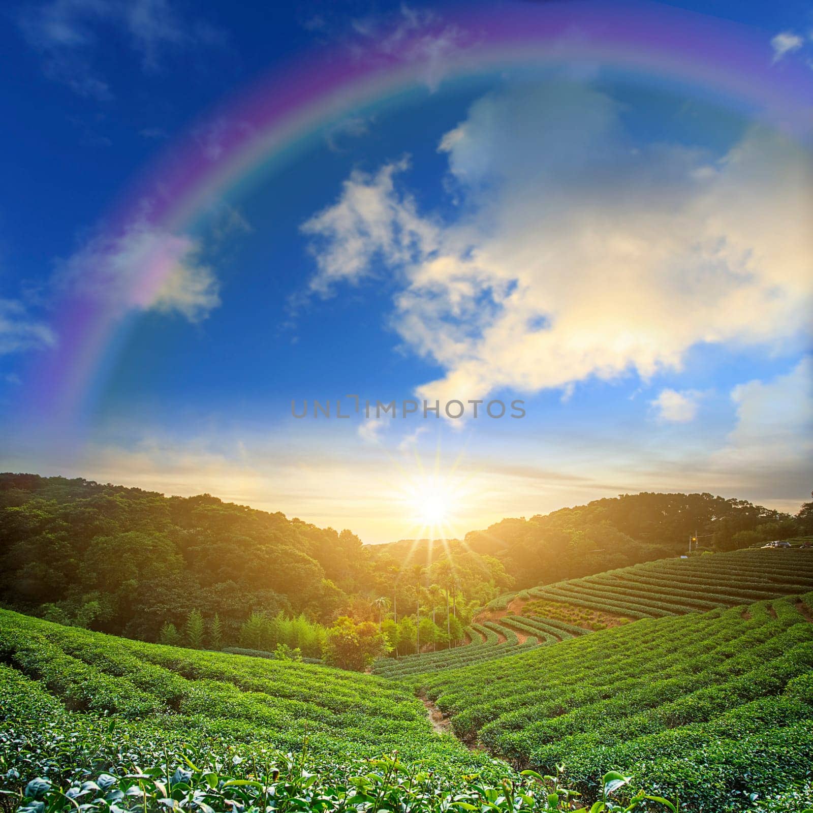Beautiful place with nice rainbow for adv or others purpose use