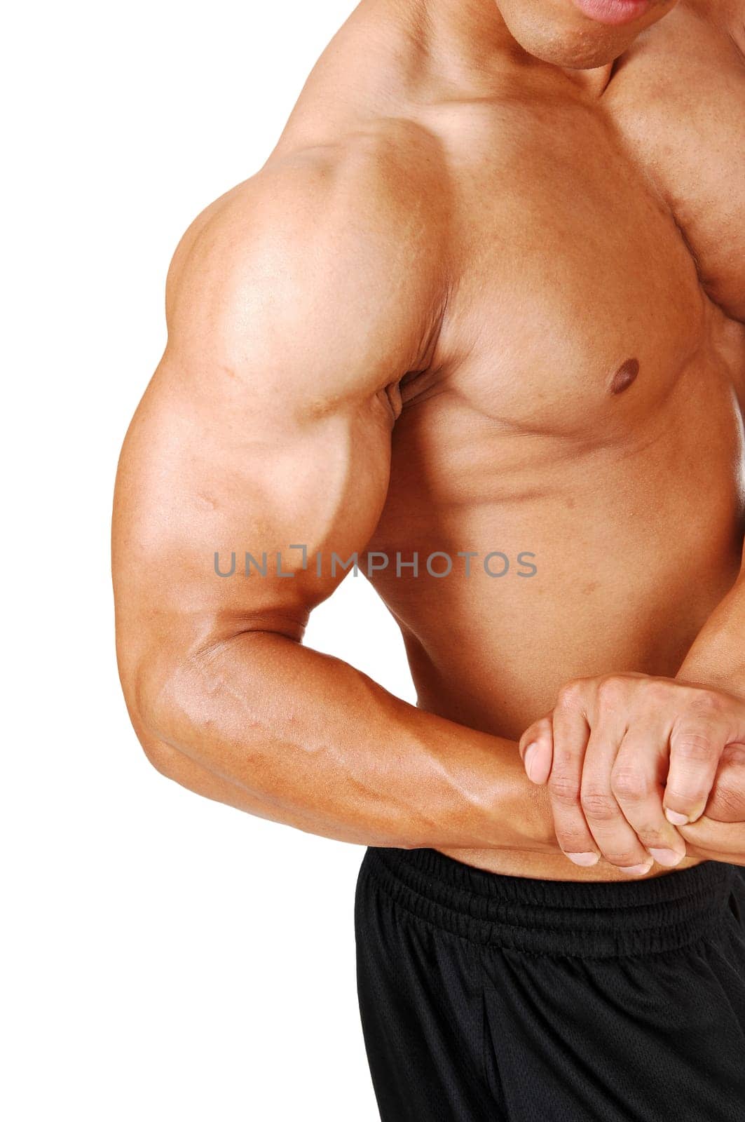 A closeup picture of a muscular young bodybuilder showing his biceps .and chest for white background..