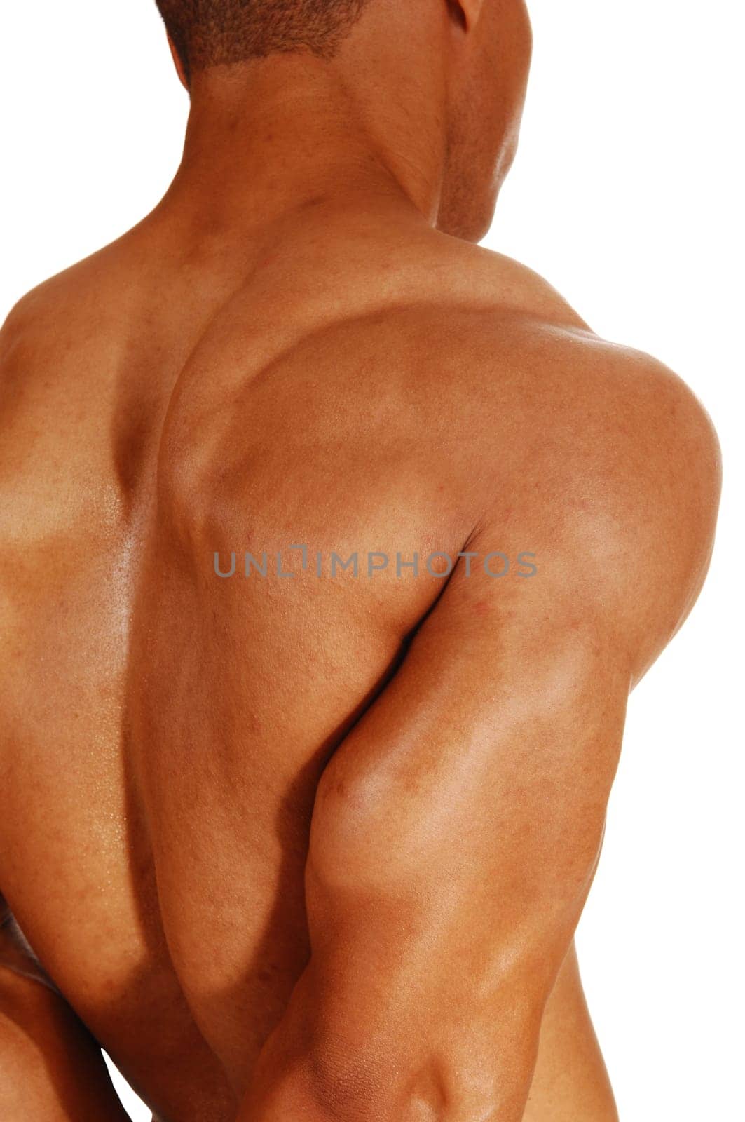 A closeup picture of the upper back and shoulder of a bodybuilder.for white background..