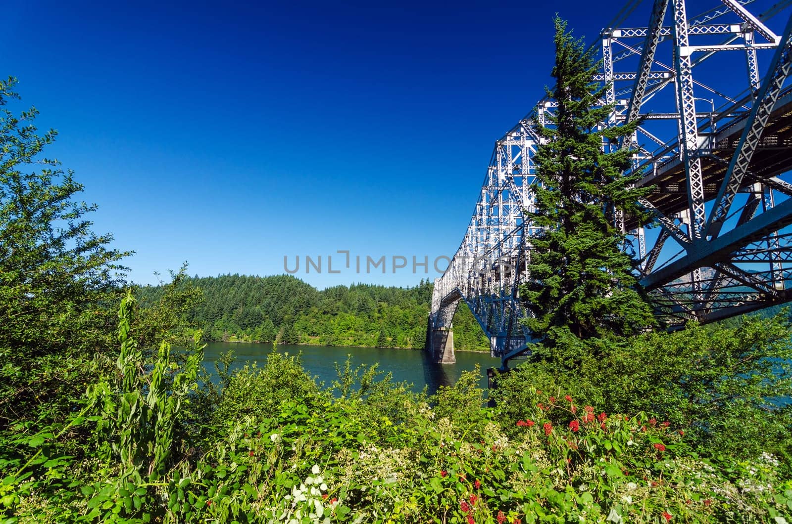 Vegetation surrounding the Bridge of the Gods connecting Oregon to Washington