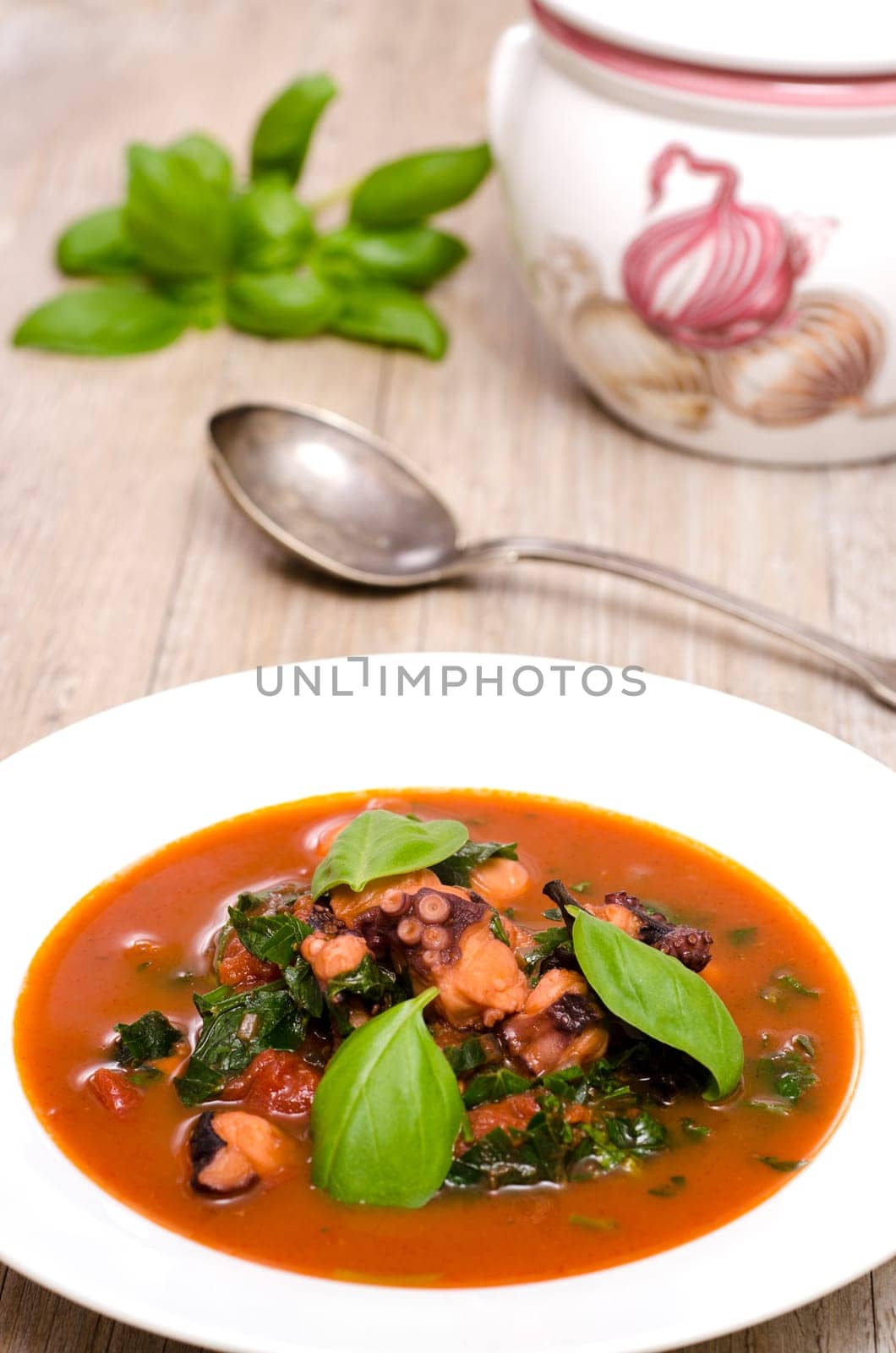 Braised squid with basil on a plate with spoon