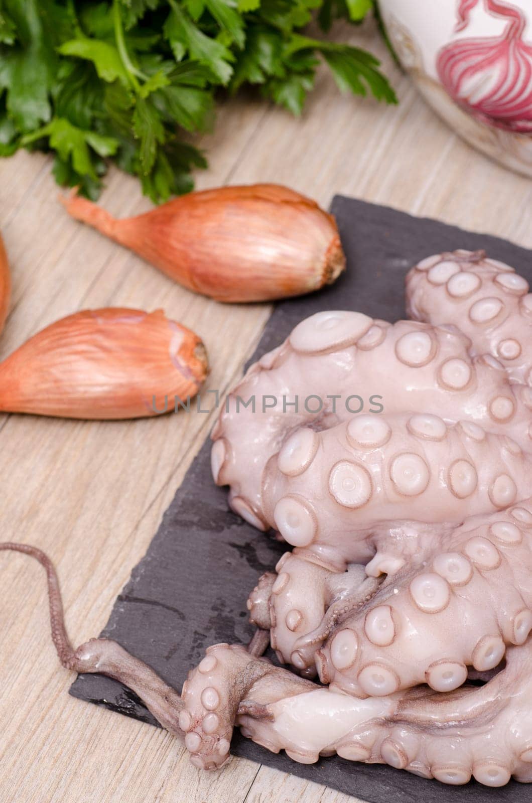 Raw octopus with shallots and parsley
