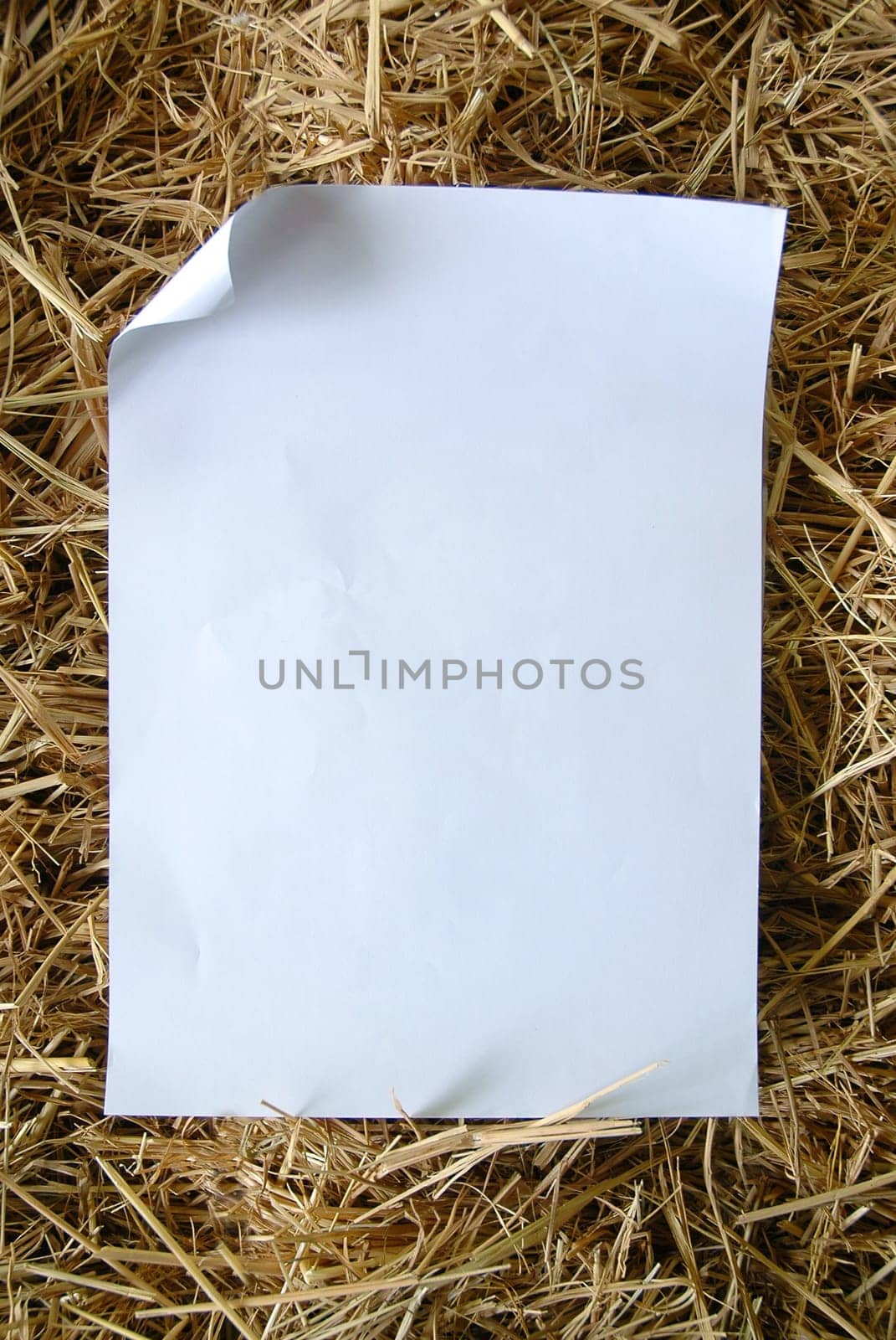 old paper on dried grass