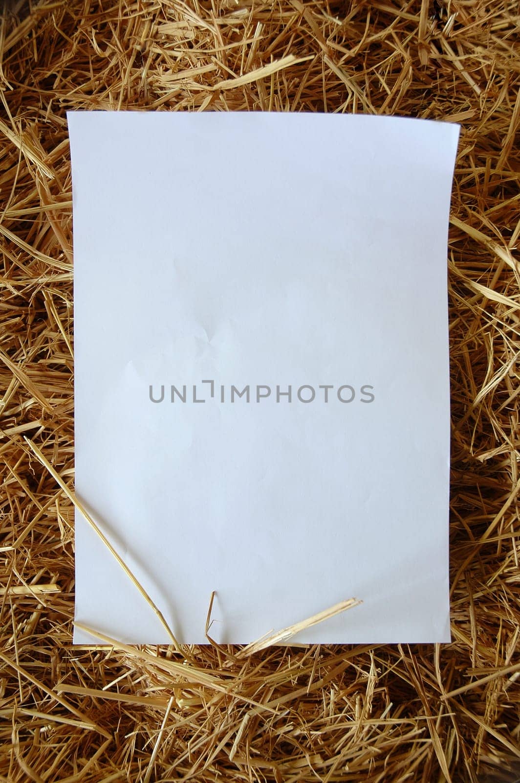 old paper on dried grass