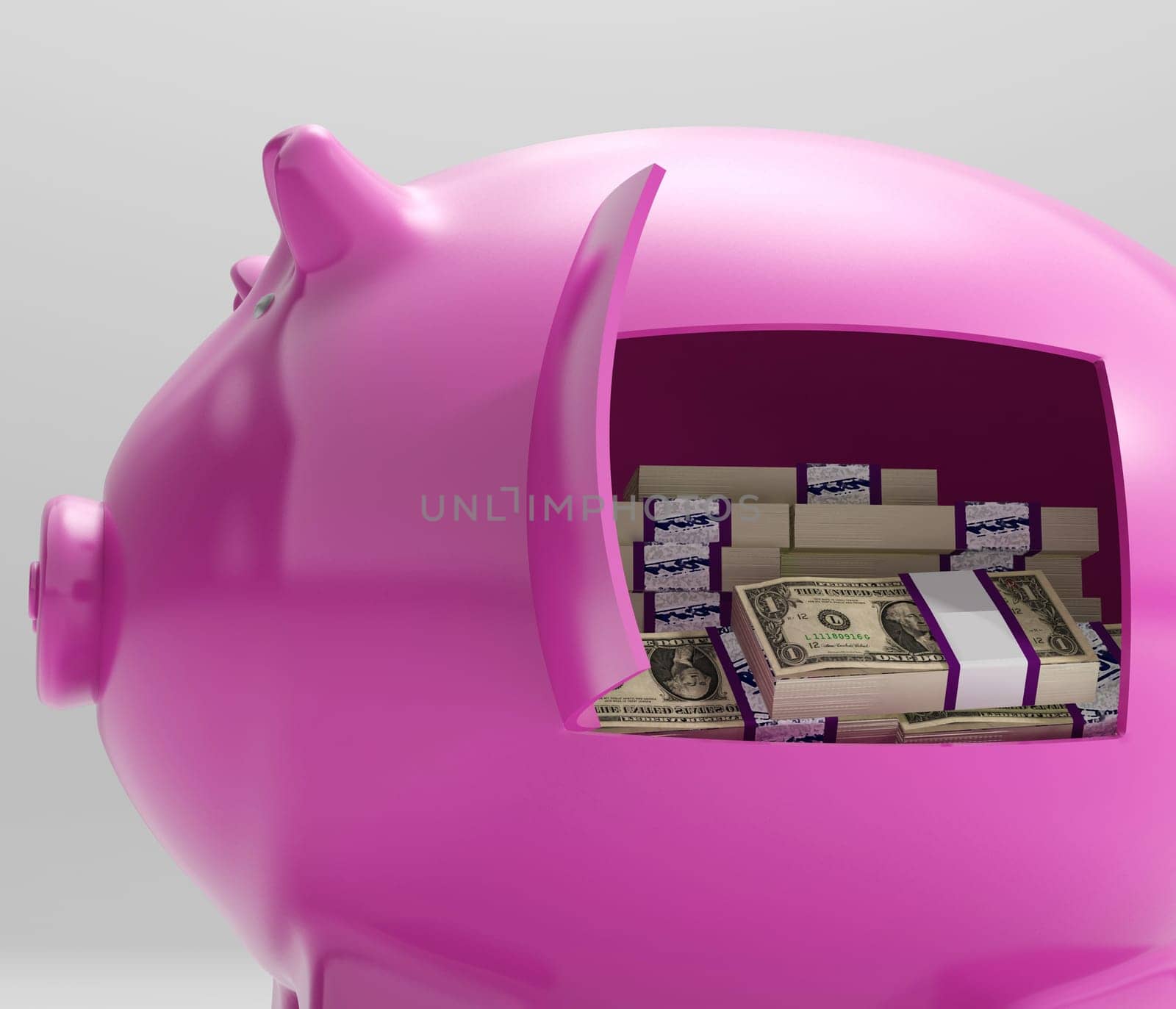 Notes In Piggy Showing Savings And Investment