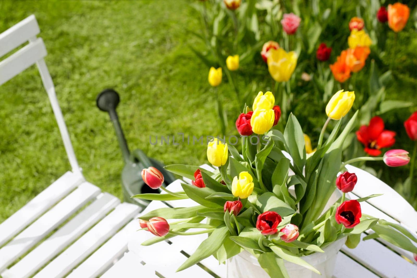 Tulips on garden table with watering can in the background