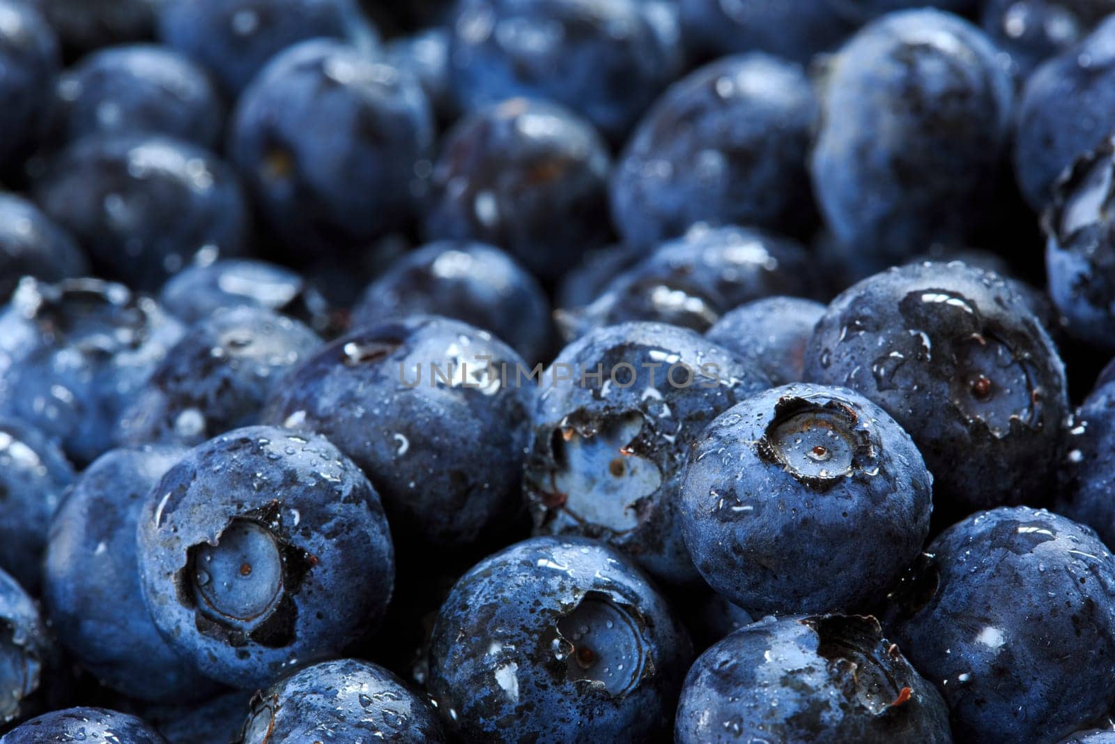 blueberries background