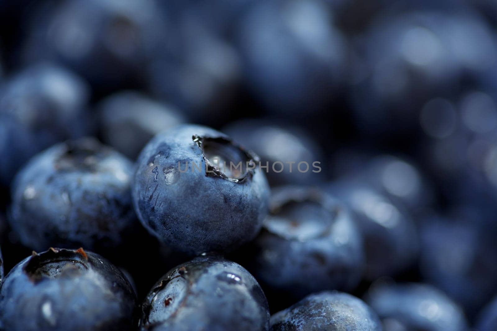 blueberries background