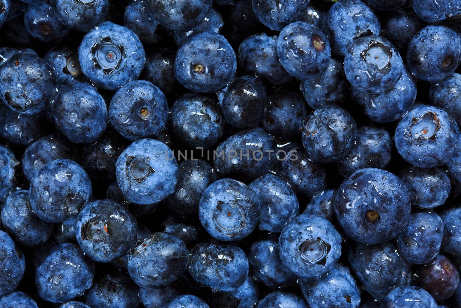 blueberries background