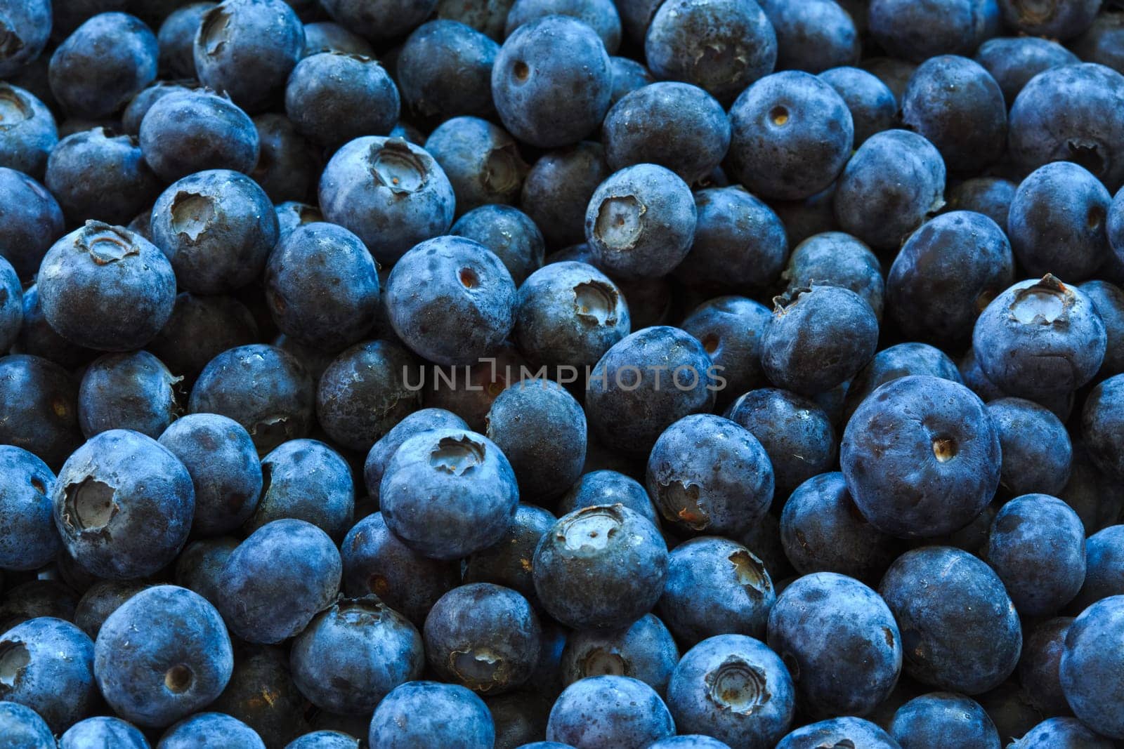 blueberries background