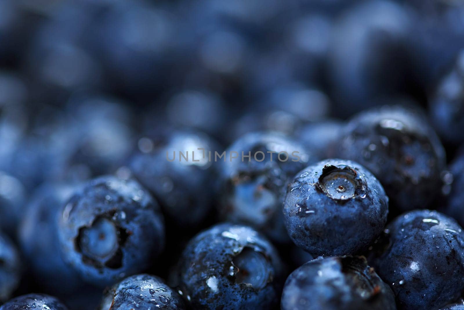 blueberries background