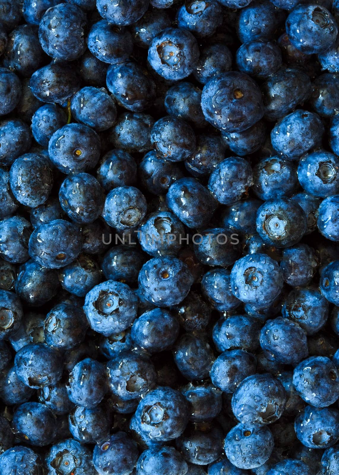 blueberries background