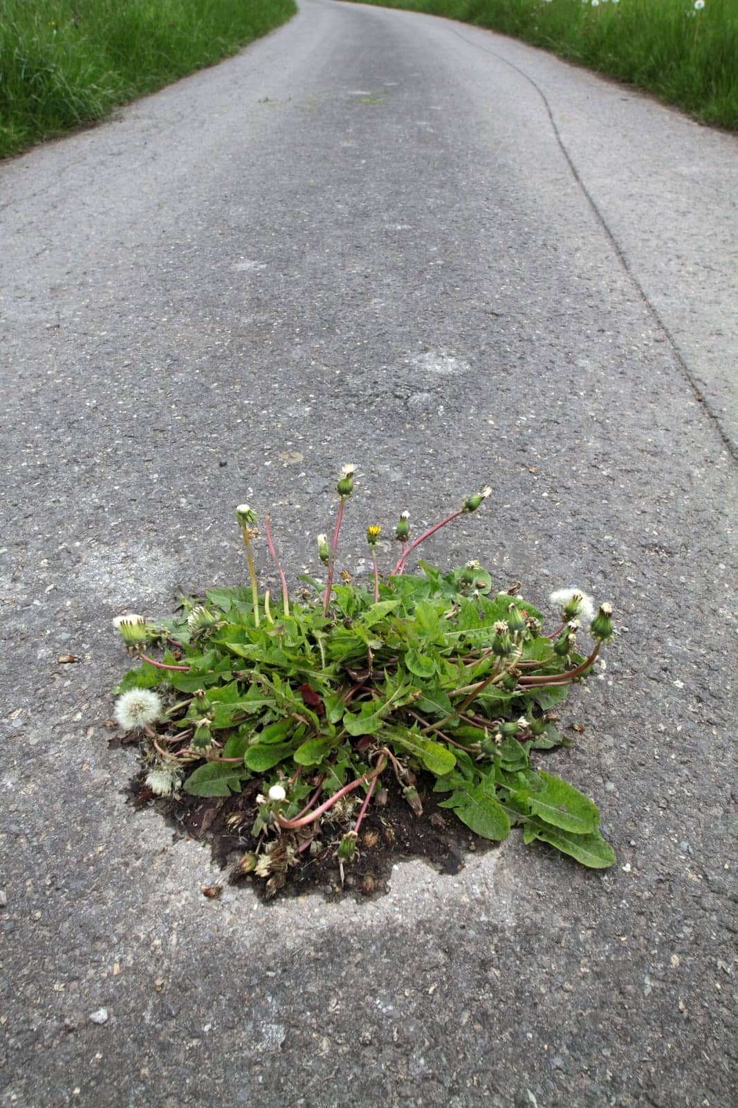 Nature wins