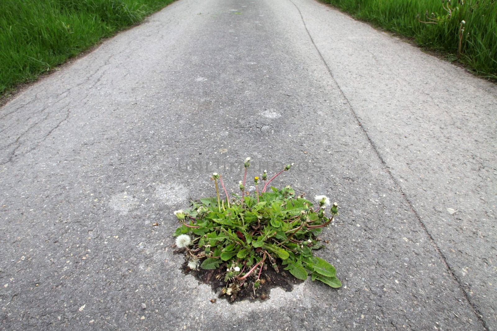 Nature wins