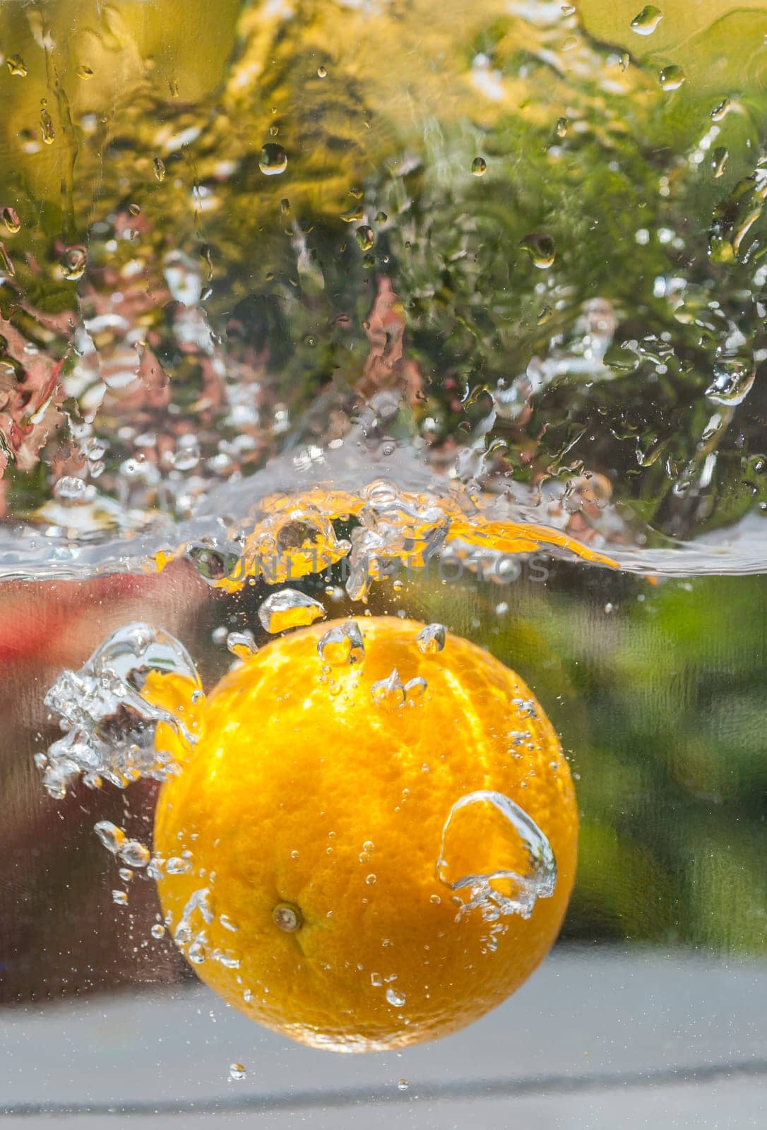 Orange fruit with natural water splashes in the garden close up