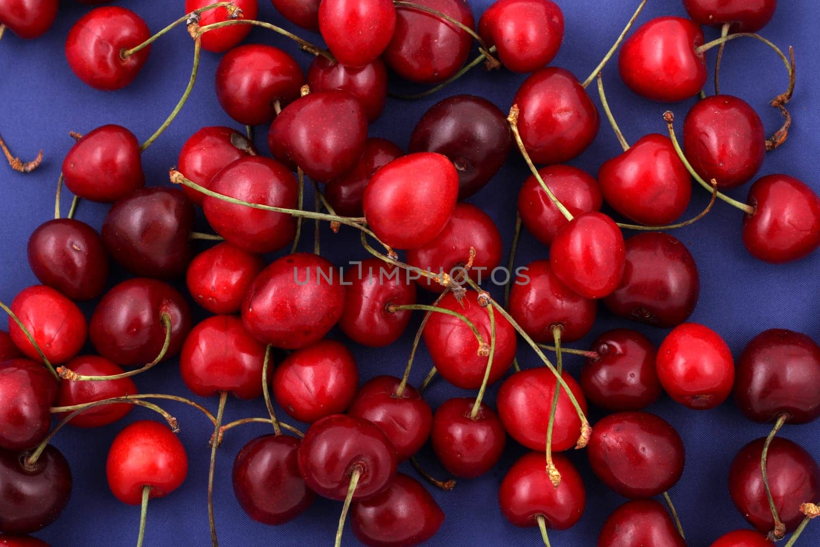 Lots of cherries over blue background.