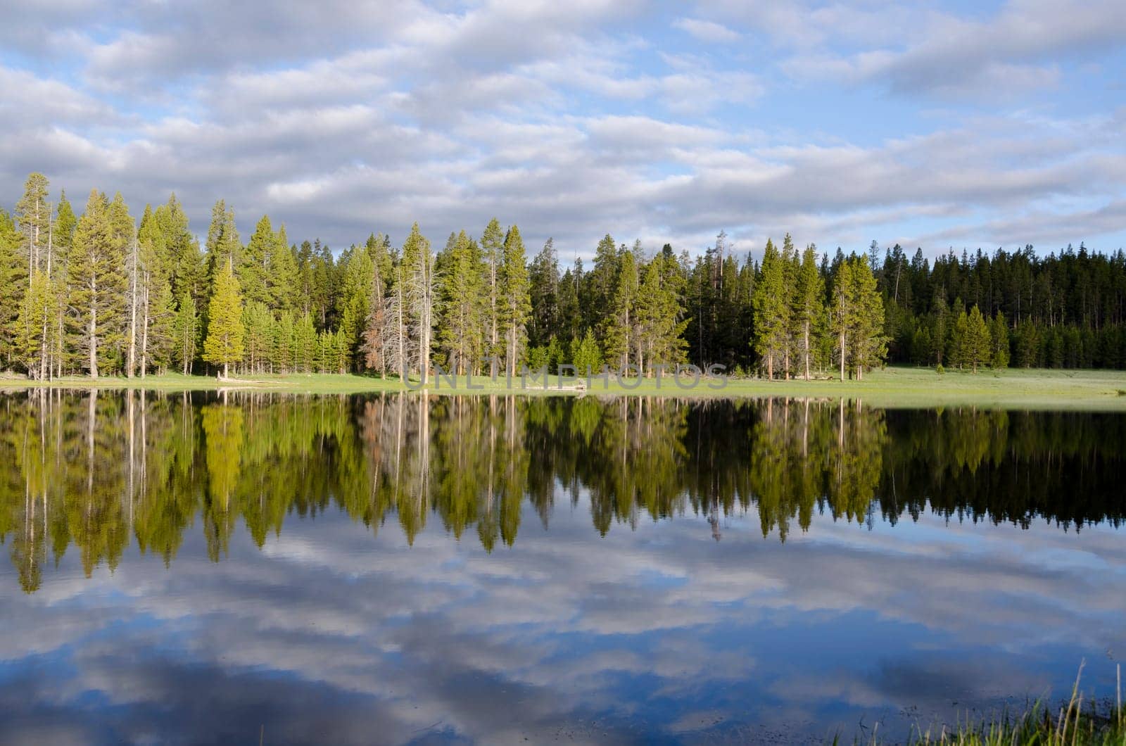 reflection on the lake in Yellowstone Wyoming