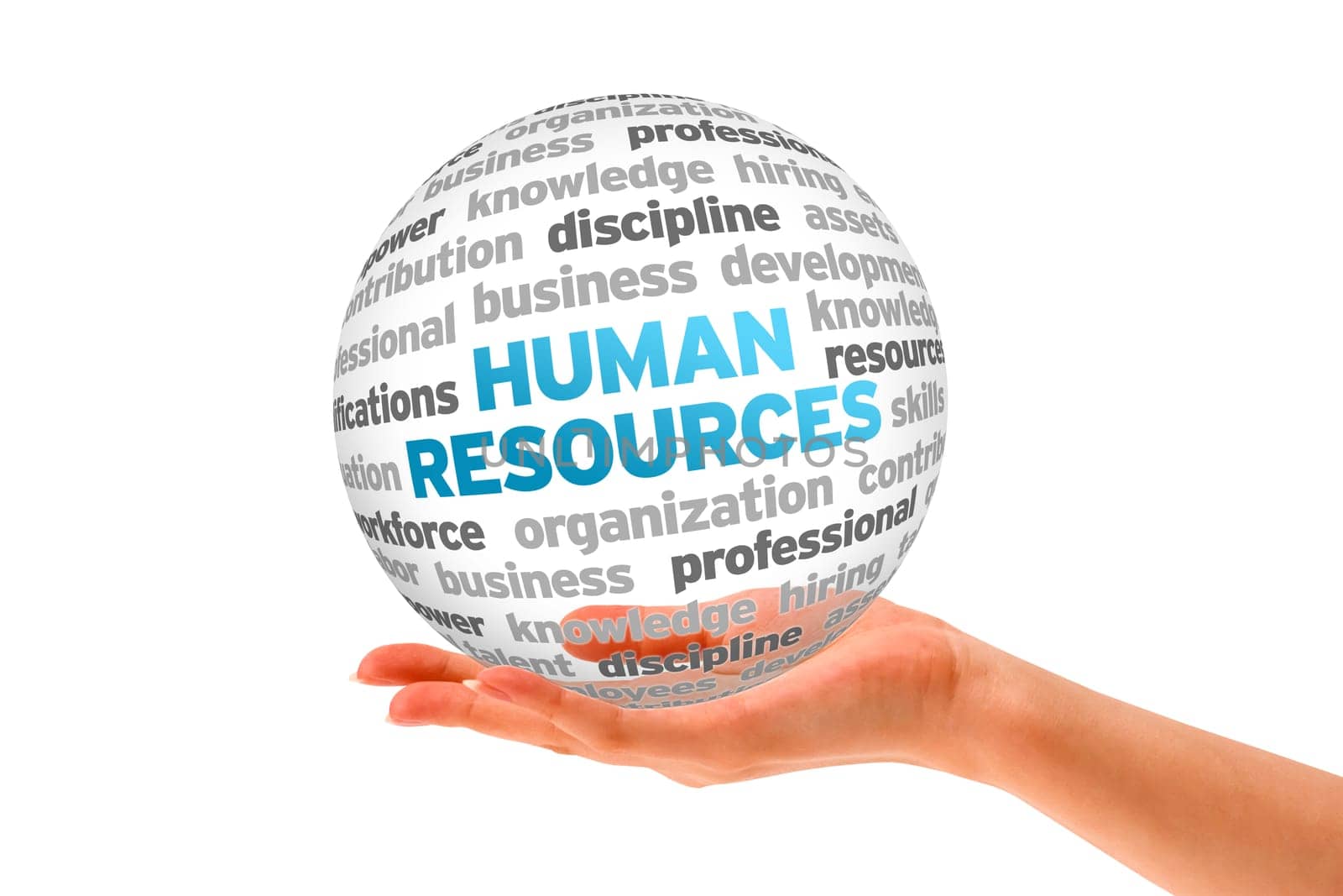 Hand holding a Human Resources Word Sphere on white background.