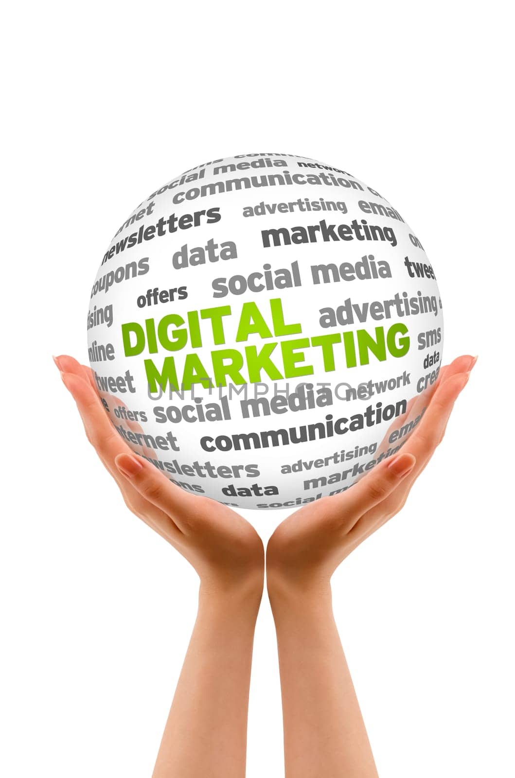 Hands holding a Digital Marketing Word Sphere on white background.