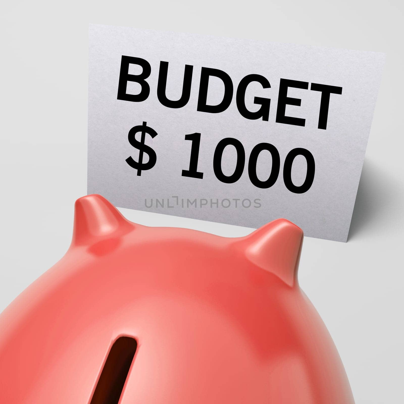 One Thousand dollars, usd Budget Shows Limitations Or Savings