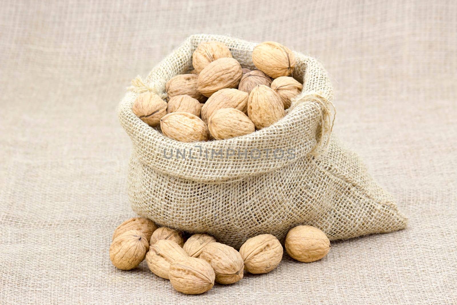 Burlap sack full of whole walnuts