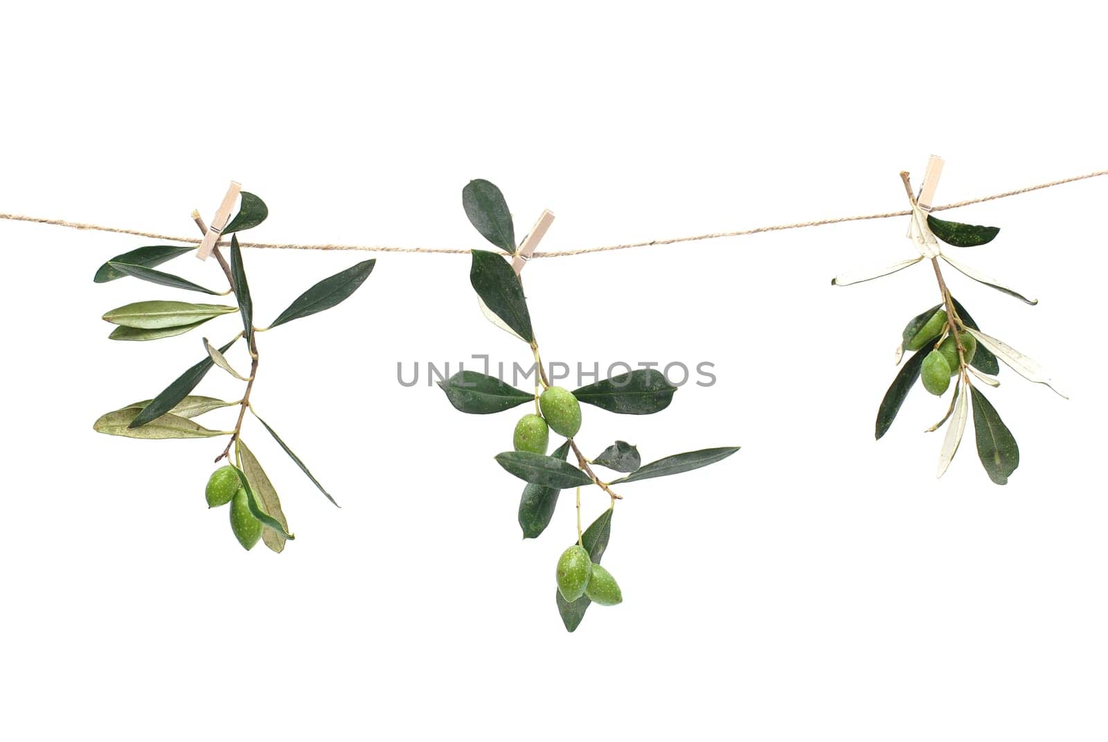 Olives