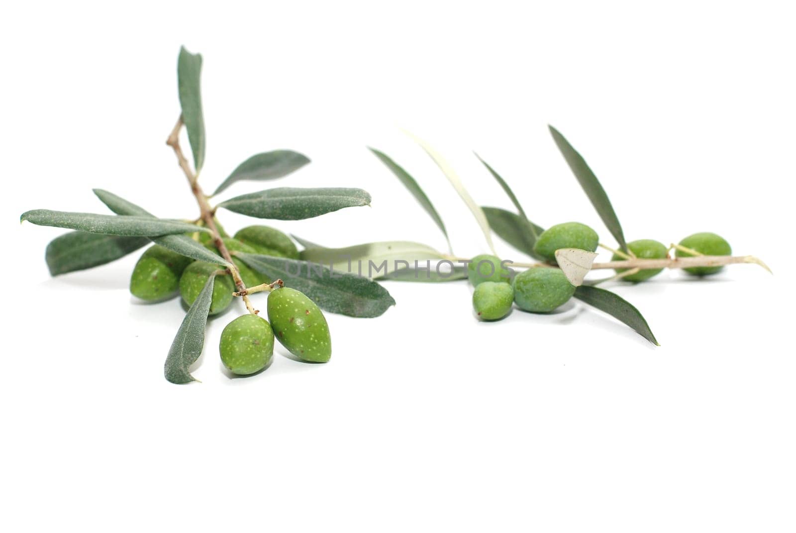 Olives