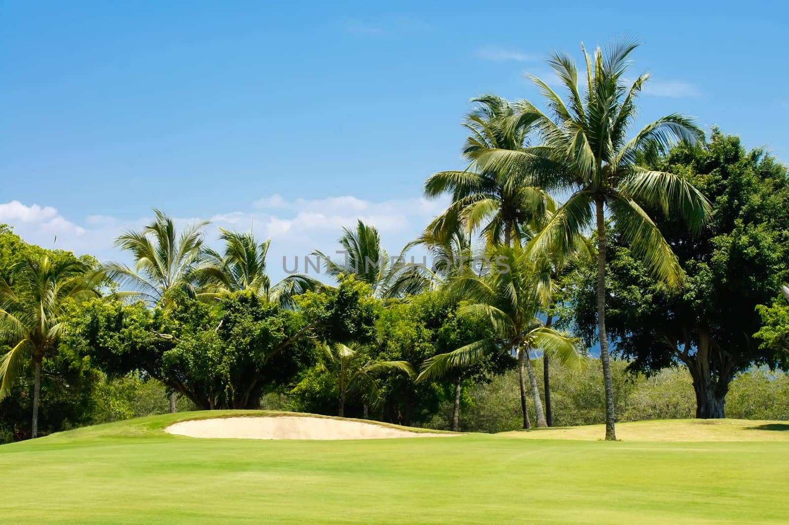 Golf course surrounded by palm trees in Puerto Vallarta, Mexico.