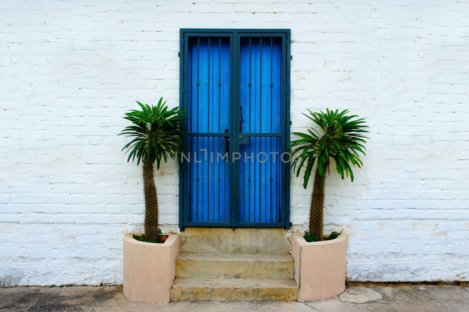 White wall brick background with blue door and palm trees.