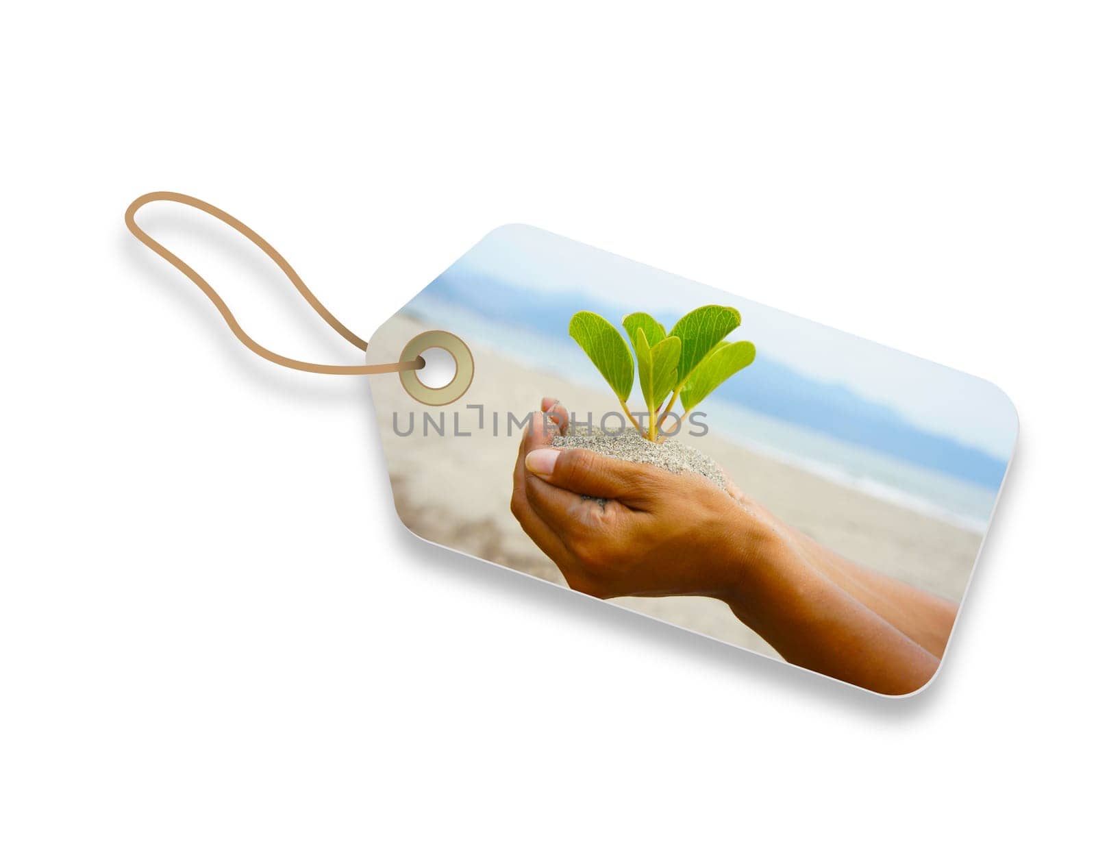 Environmental friendly label of a hand holding a plant.