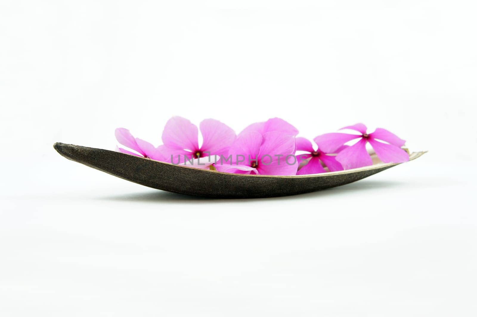 Boat of flowers isolated on White backgrund