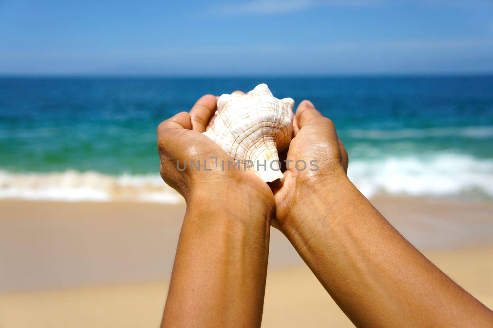 Female hands holding a seashell on a tropical beach with blue water in the background.