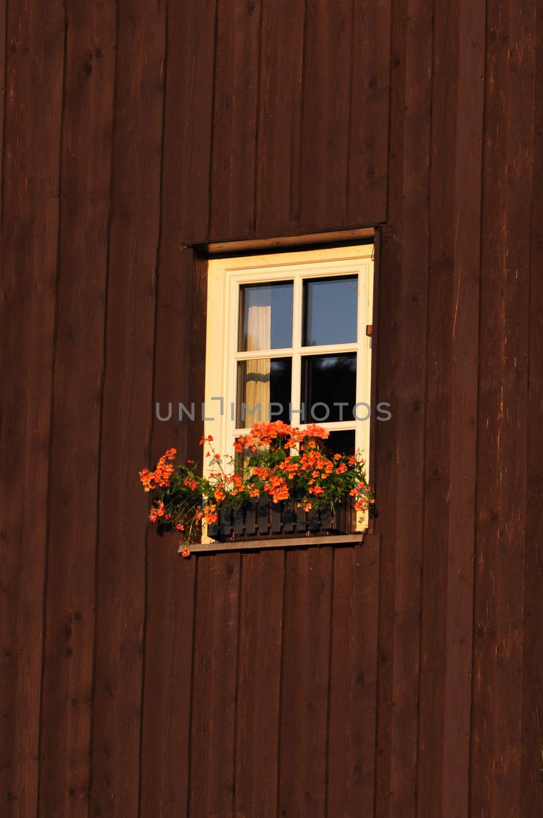 Old wooden window on brown stain wood background.