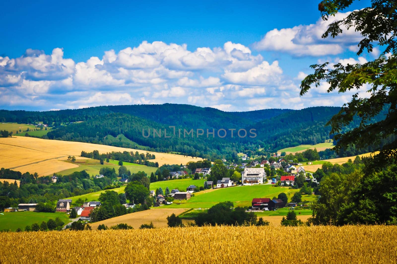 Countryside village surrounded by mountains, fields and forest.